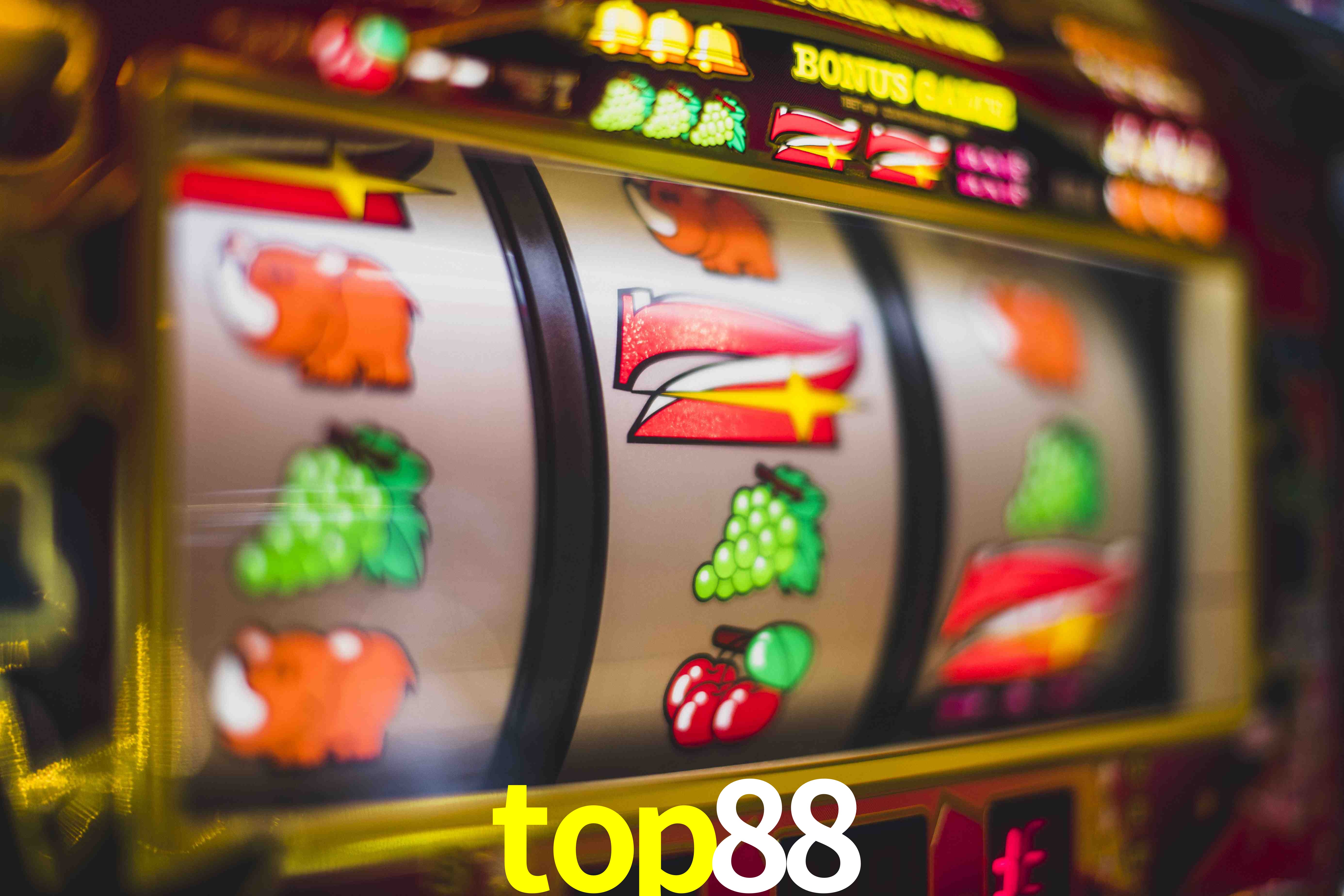 VIP Casino top88